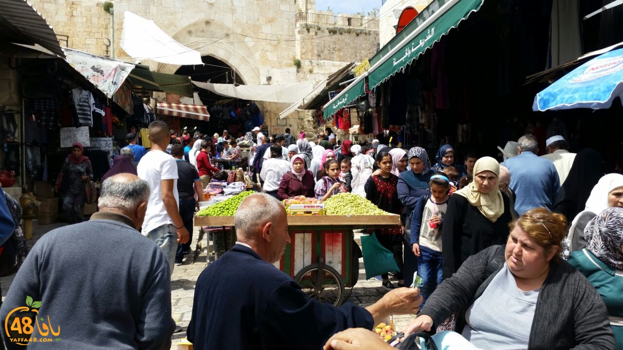 a7bab al aqsaa (11).jpg